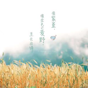 一个上添一个下添口是什么字
